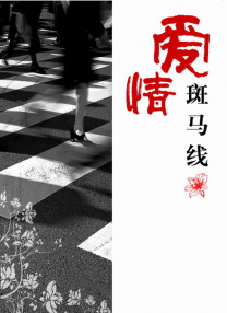 莉姐的回归演唱会